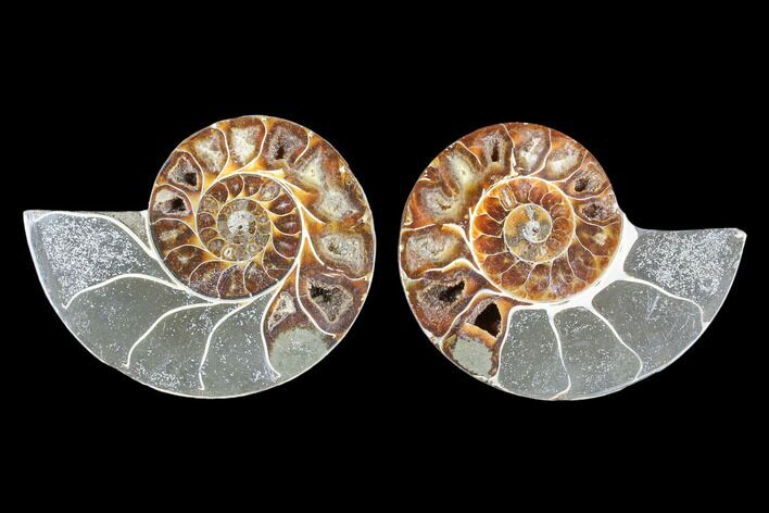 Cut & Polished Ammonite (Anapuzosia?) Pair - Madagascar #88007